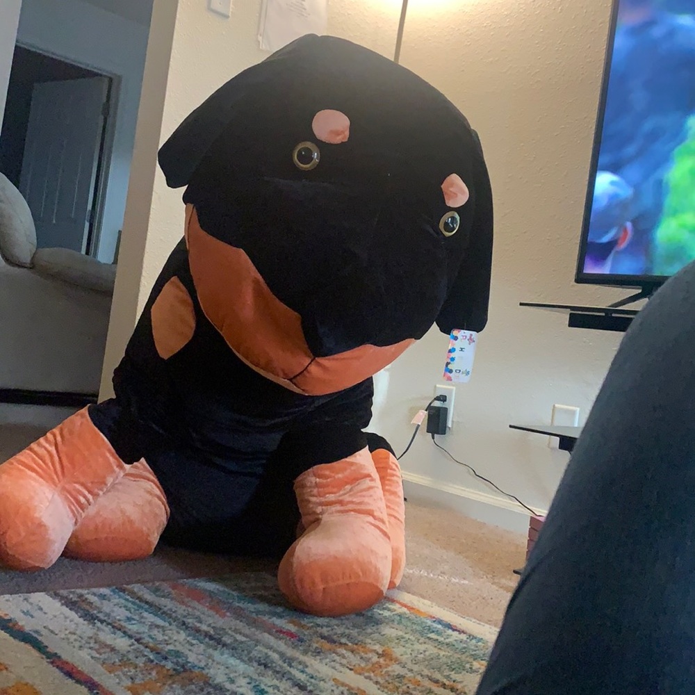 Big plush dog